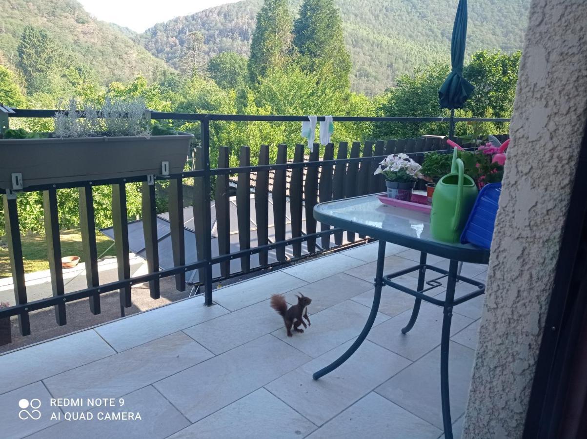 Bed and Breakfast Les Ecureuils Revin  Exterior foto